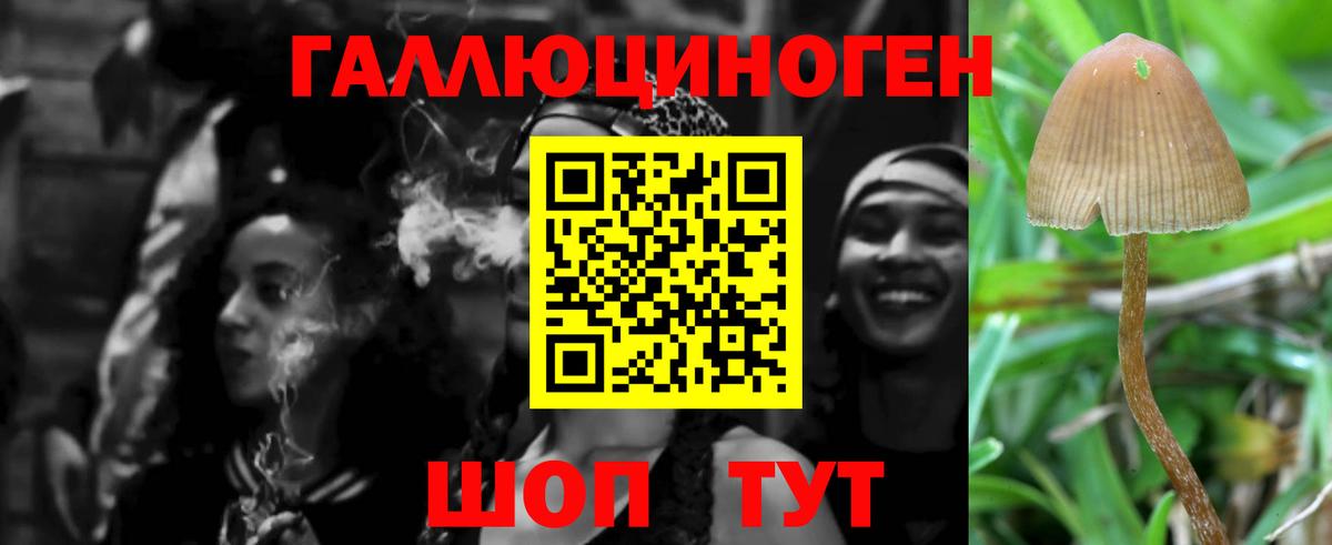 Орехово-Зуево  Галлюциногенные грибы Magic Shrooms  Вход с VPN 